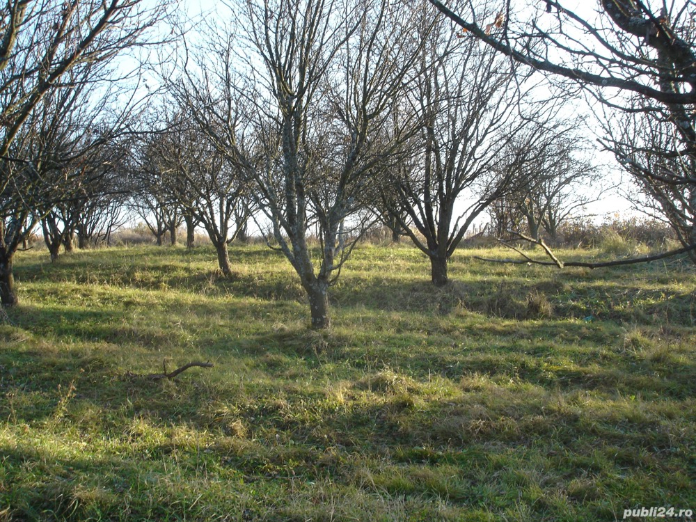 Teren 69 arii zona Livada Crasnei