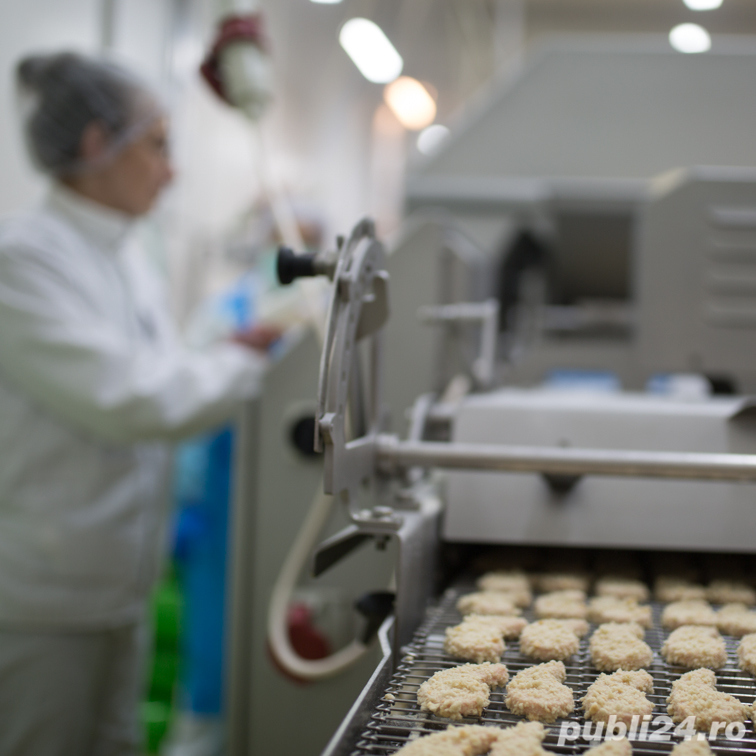 Mecanic mentenanță flux producție Oiejdea