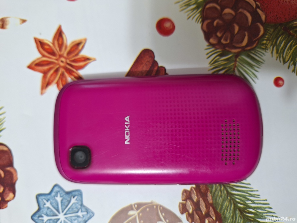 Nokia Asha 300 roz