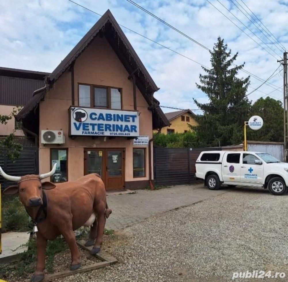 Angajam medic si asistent veterinar, in Com. Paulesti,  Jud. Prahova 
