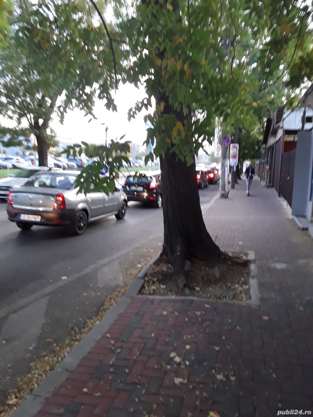 Închiriez Vînd locuință 2 camere (garsoniera )+ teren curte