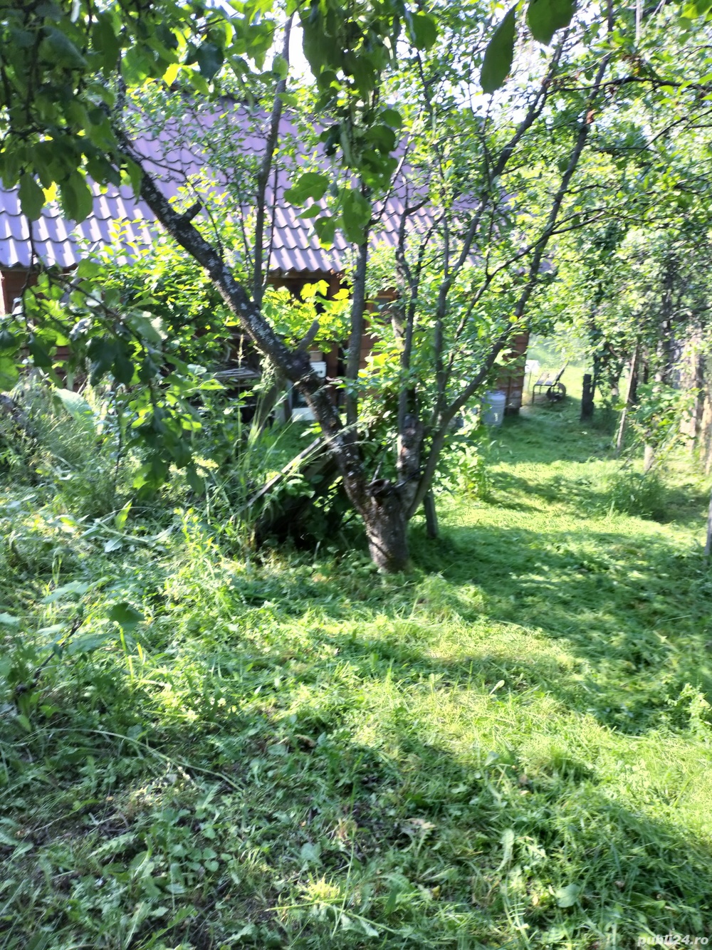 Teren pentru constructii  zona DEALURI  ORADEA