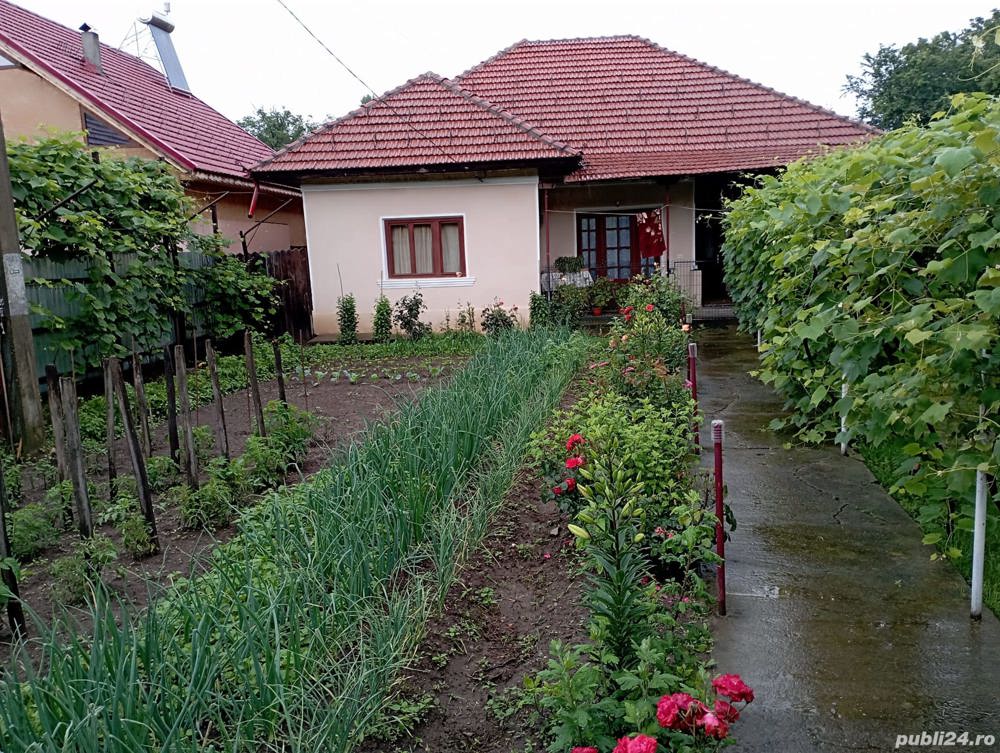 Vanzare casa situata in comuna Pestisani - Sat Borosteni, Jud. Gorj