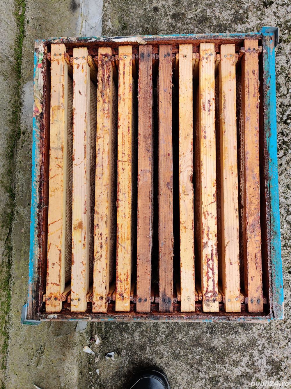 vand caturi plus rame 1 2 Pt supi
