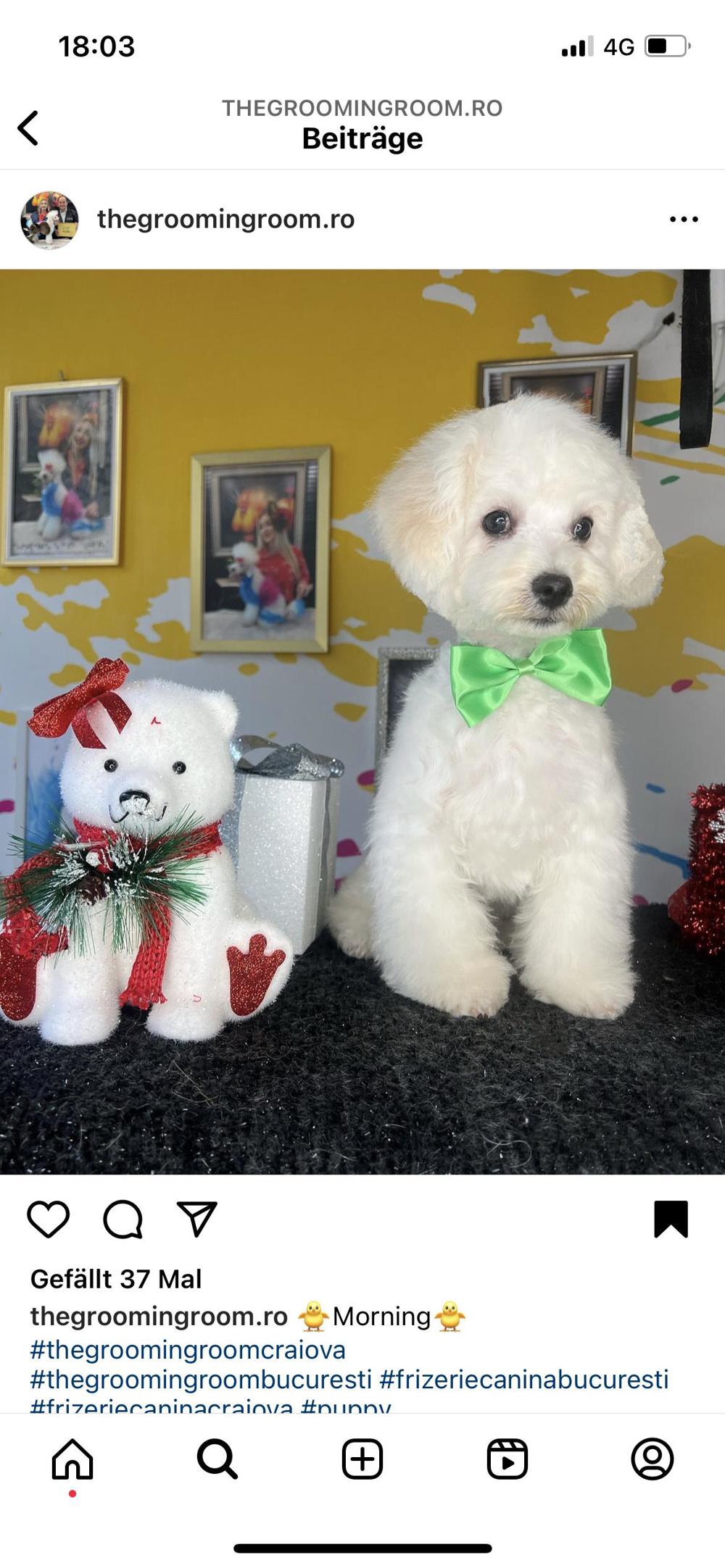 Frizerie Pufosenii SRL