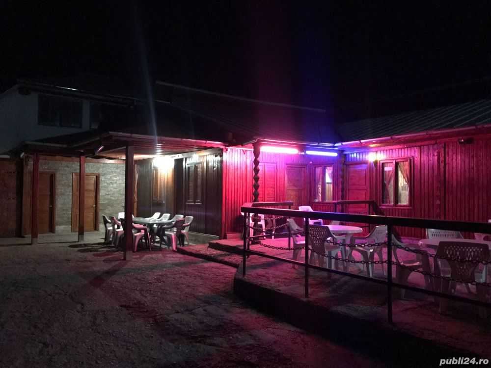 Disco-club, Bar, Fast-food, Pariuri sportive, Aparate slot machine.