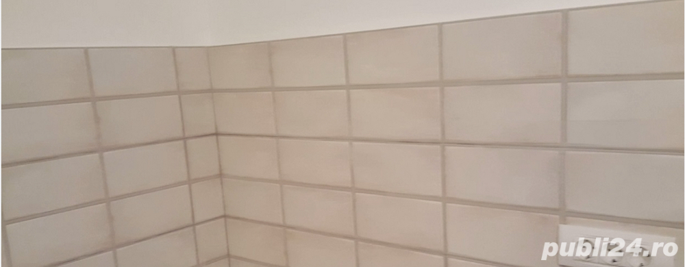 Echipa de meseriasi in constructii