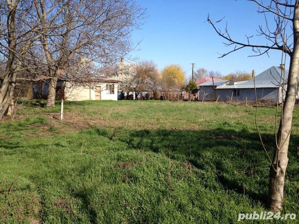 Casă și spațiu comercial producție, depozit casă de vacanță 