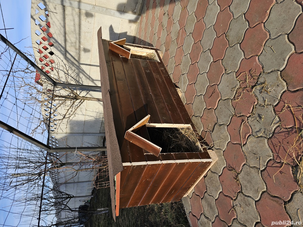 Causca,cuști la comanda