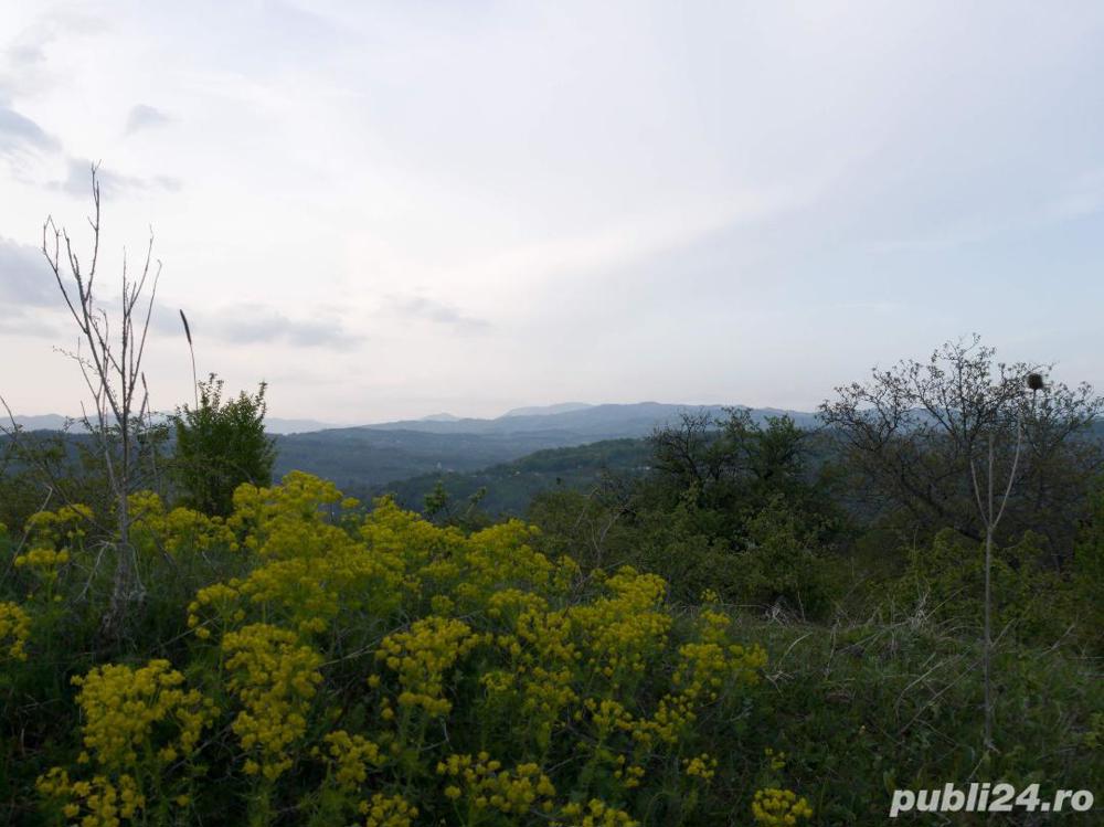 Vand teren extravilan   curtea de arges