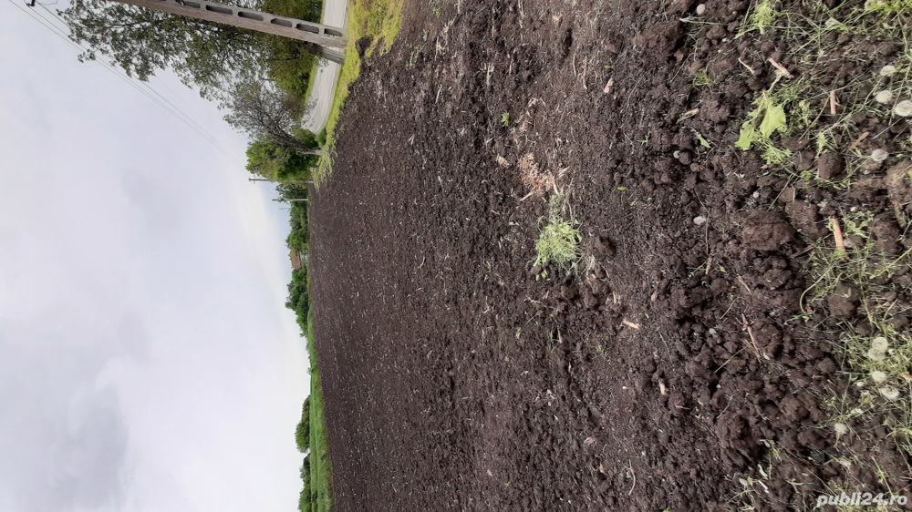 vind teren intravilan suprafata utila 4097mp front la strada 102m sat zoreni de vale com mociu 