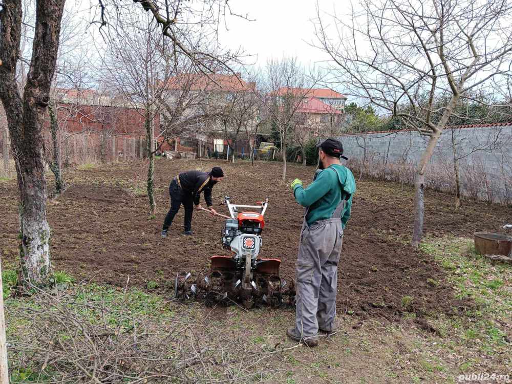 Servicii defrișări  întreținere spații verzi