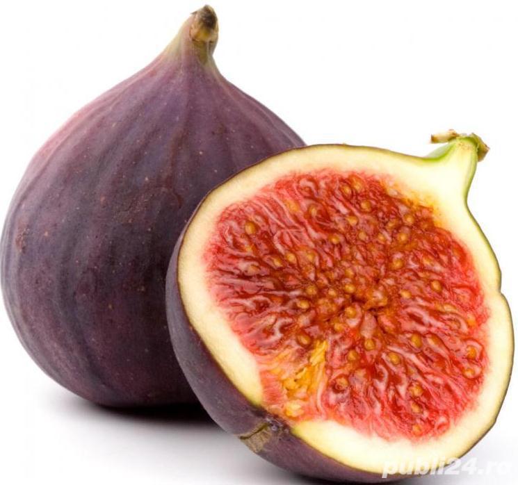 Butasi Smochini Soiul Svinita  Si Alte Soiuri In Comentariu