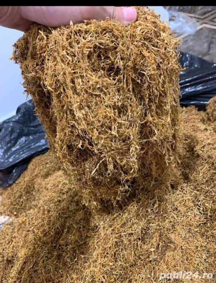 Tutun firicel prelucrat in baie de aburi de 0.1milimetri ambalat la galeata