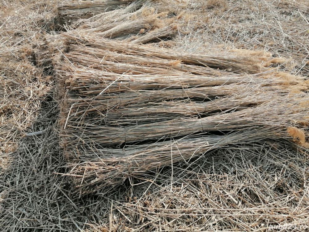 Placa, plasa, panou de stuf, trestie, (gard   izolație)