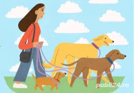 Ofer servicii de plimbat caini Ofer servicii de plimbat caini