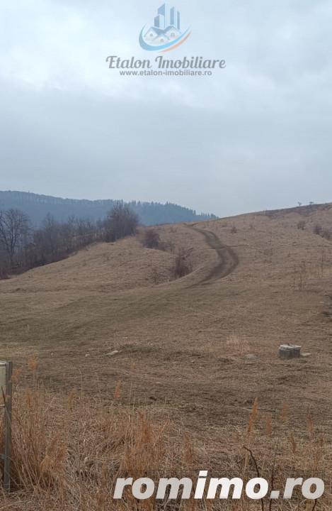 Teren intravilan, zona Darmanesti - Balaur