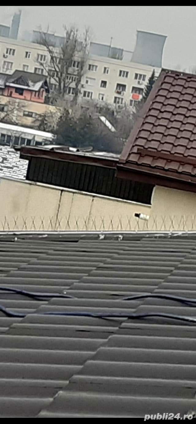 Montez țepi contra porumbei 