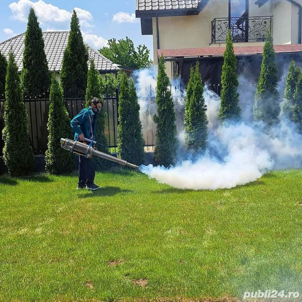 Efectuam servicii Dezinsectie Dezinfectie Deratizare 