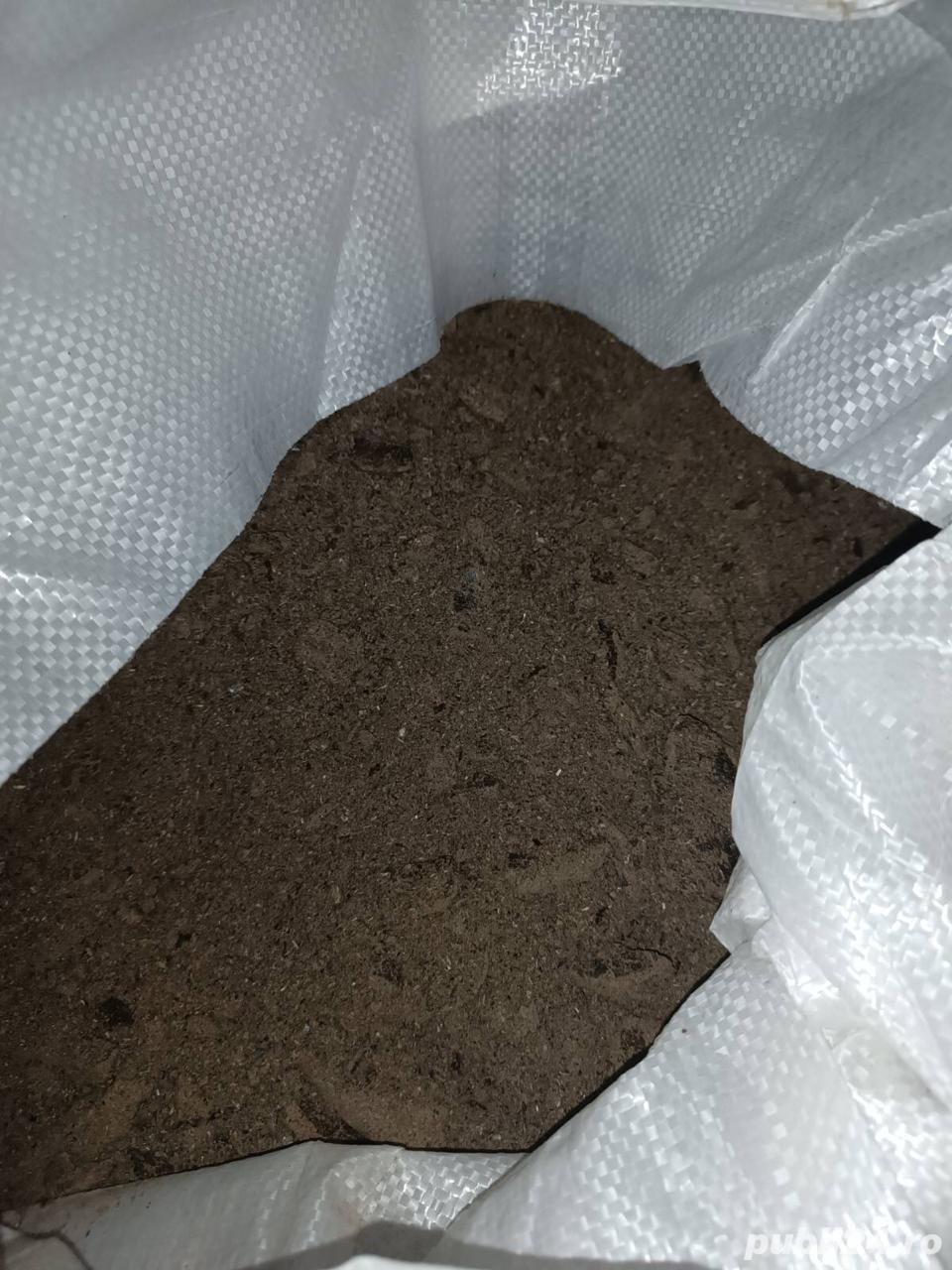 SROT de floarea soarelui proteina 33 % - 34%