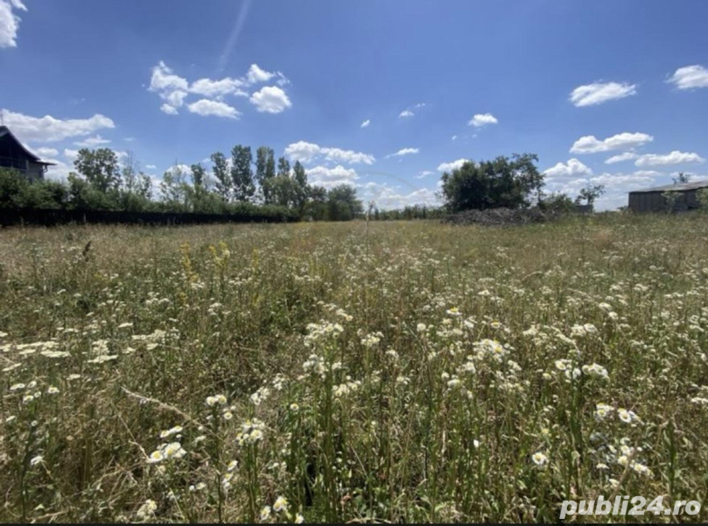       TEREN INTRAVILAN   Comuna Suseni, judetul Arges