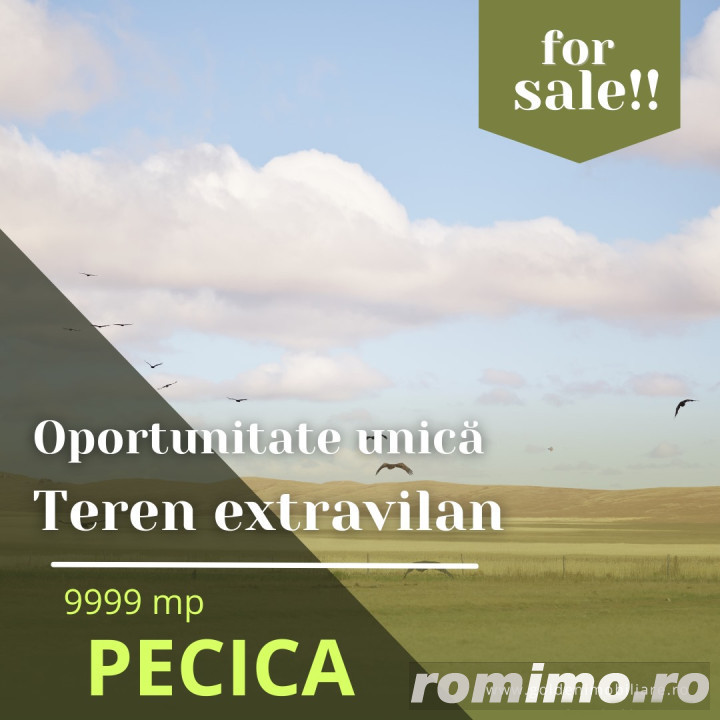 Oportunitate unica! Teren extravilan, 9999 mp, Pecica