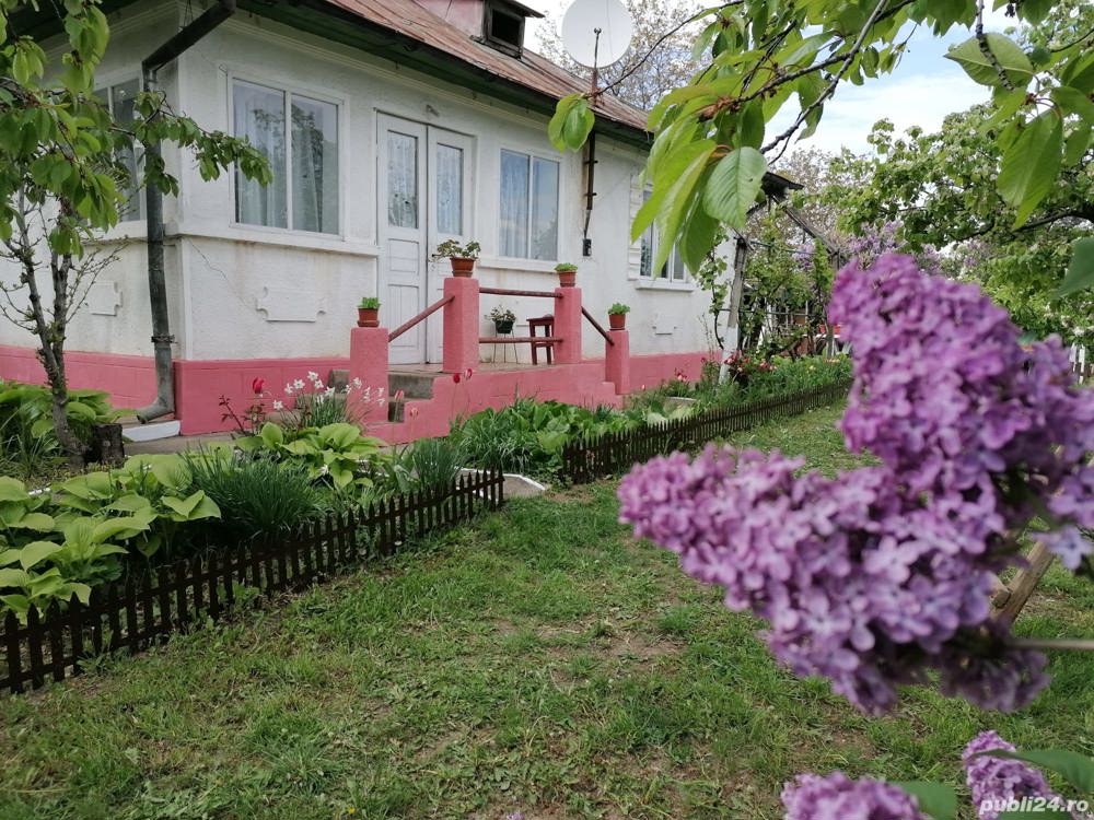 Casa cu teren, ultracentral , Cotnari, Iași 