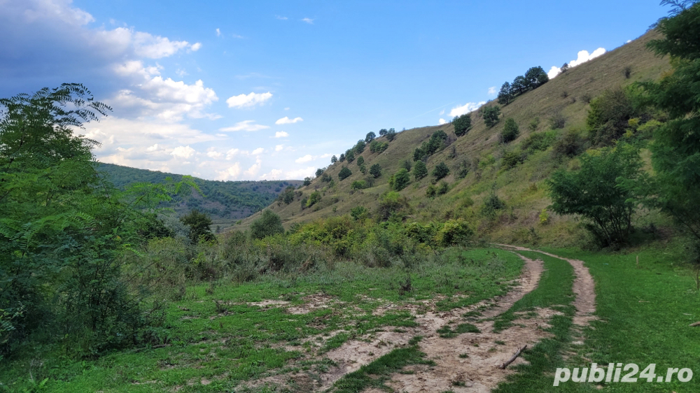 Vand teren extravilan, sat Tăuți, cu suprafata de 1000m2