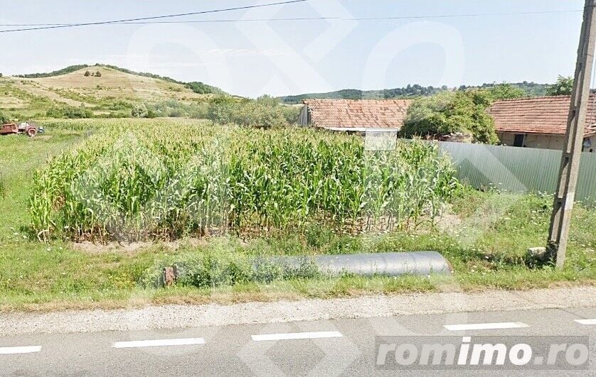 Teren intravilan de vanzare suprafata 3544mp zona Tileagd