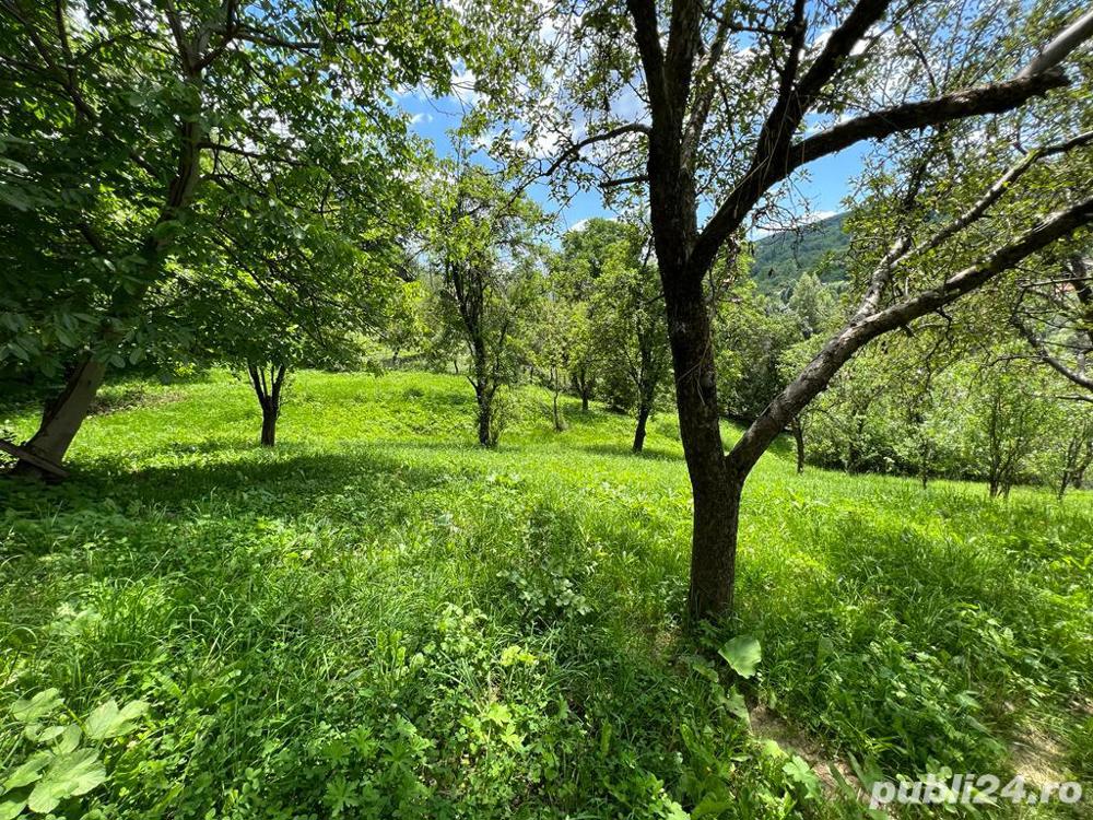 Teren de vanzare in Moroieni