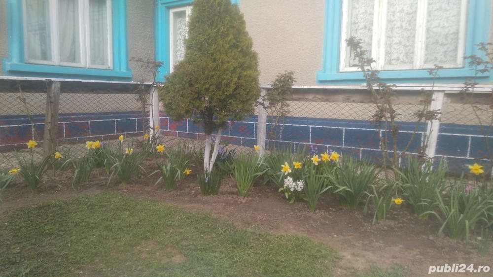 Se vinde casă cu teren în Constanța Palazu Mare 