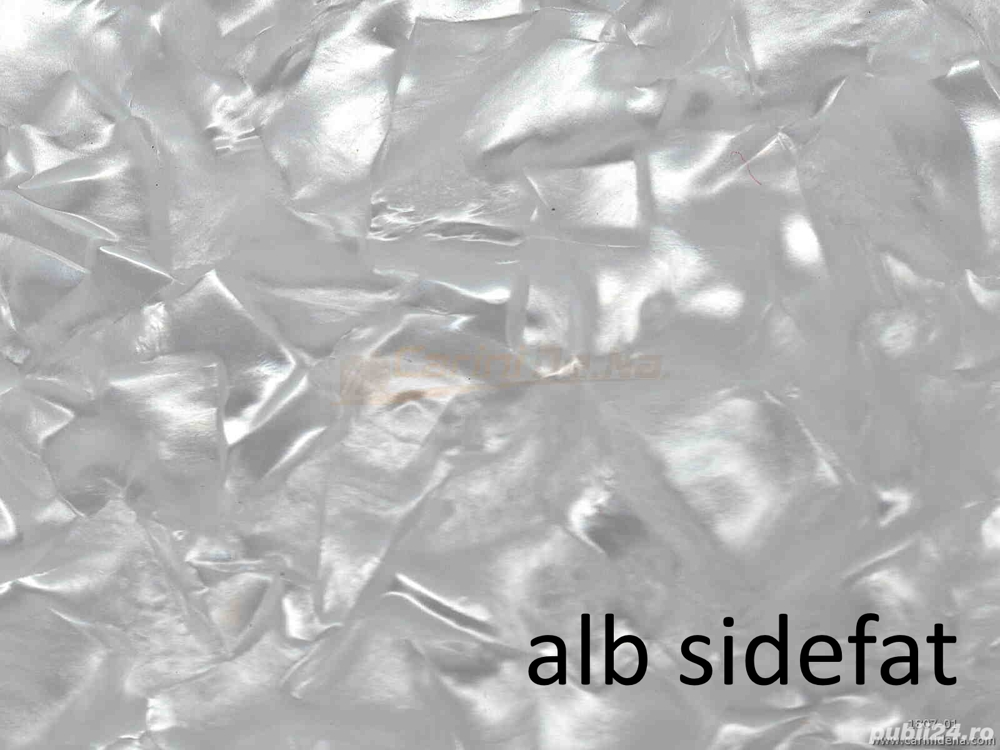 Vand coala celuloid sidefat acordeon -  Italia