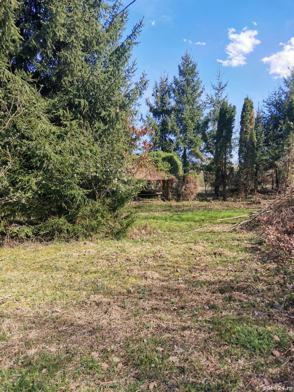 Teren 15.000 mp cu izvor + livadă + brazi   deschidere DN   Gurahonț