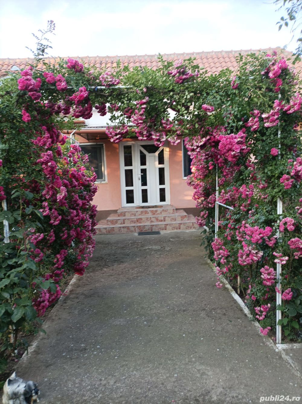 Casa de vanzare in loc. Vasad, jud. Bihor.