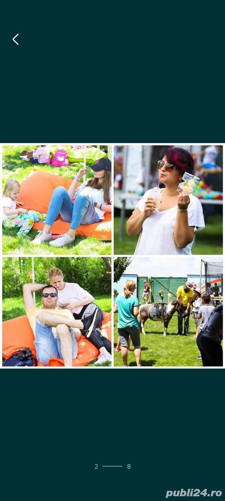 Inchiriere ponei, cai si alte animale domestice pentru evenimente 