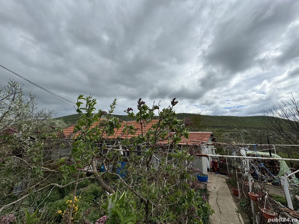 Vand casa in orasul Babadag, zona linistita! 