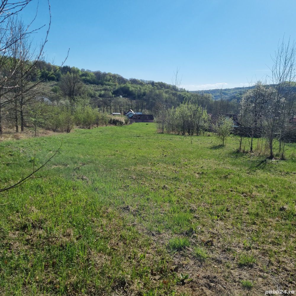 Vând teren intravilan 2730 mp în Comuna Golești, Județul Vâlcea 