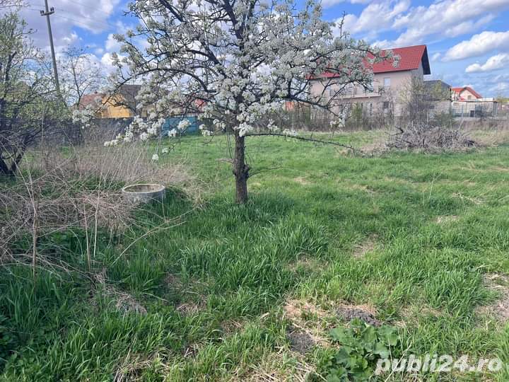 Teren de vânzare direct de la proprietar Teren de vânzare direct de la proprietar