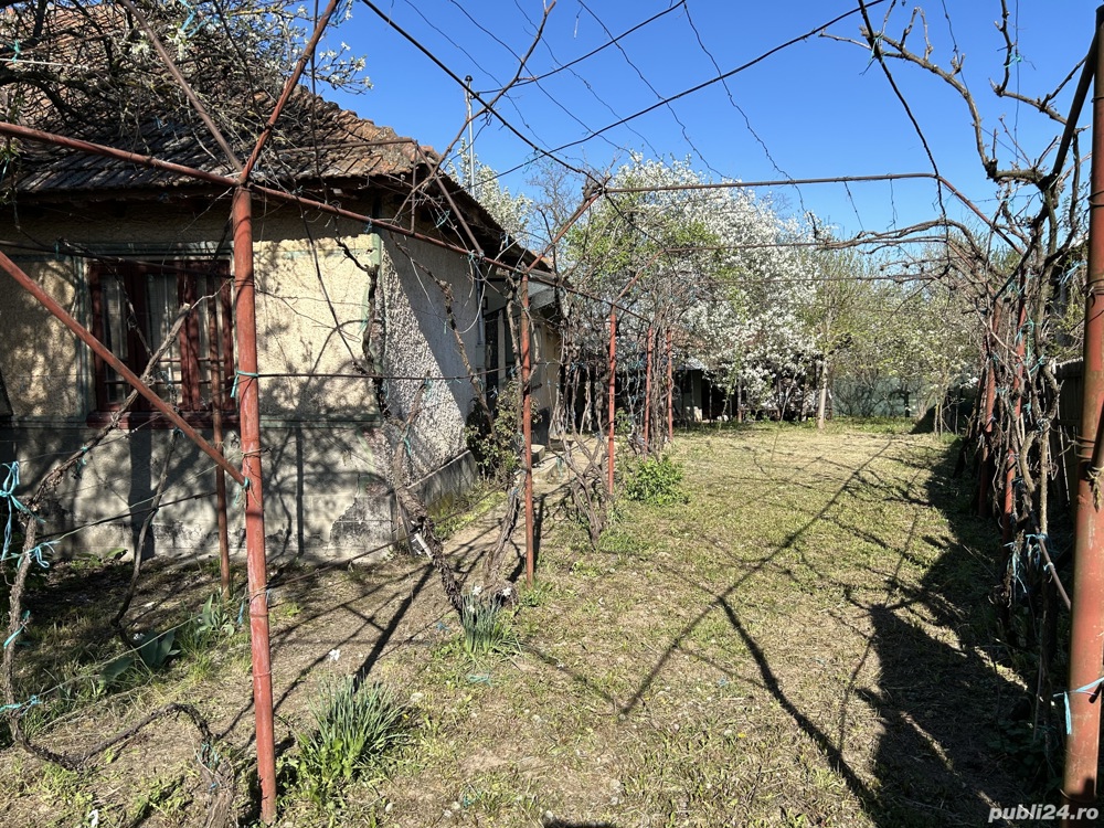 Teren intravilan si casa batraneasca 