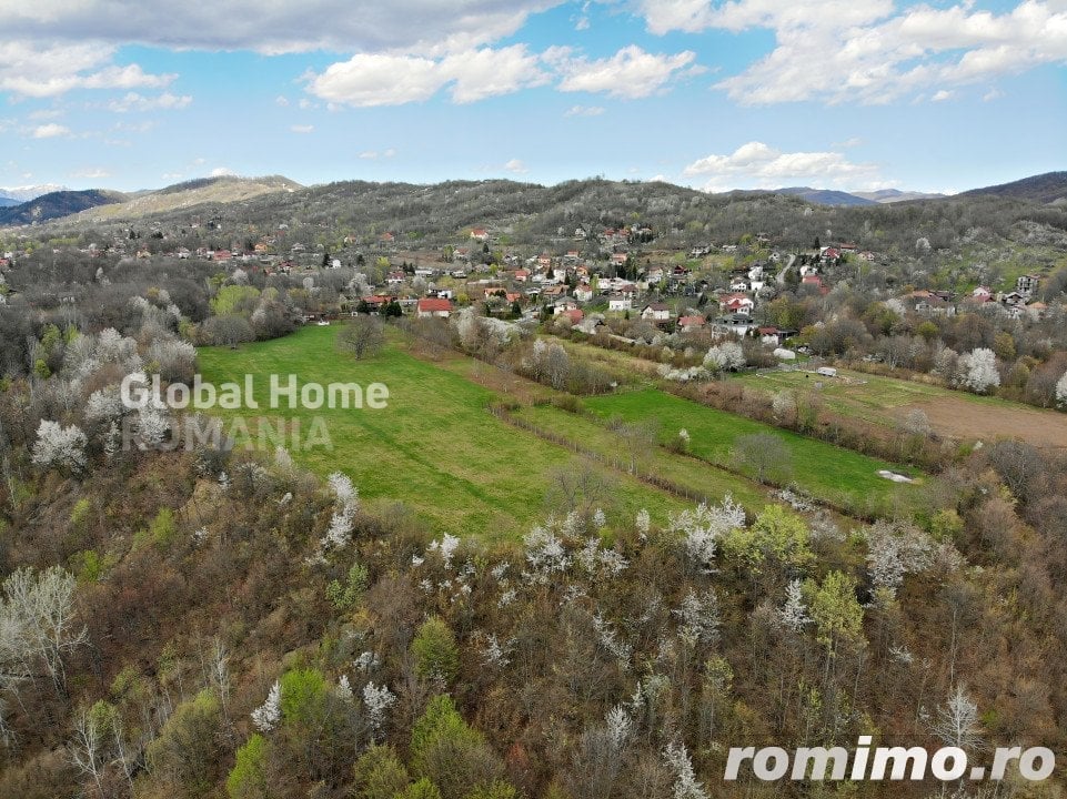 Mountain Plateau - 23.345 SQM - Exclusive Estate | Jud Prahova - Valea Prahovei