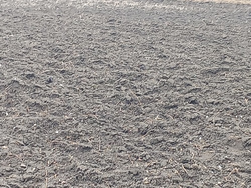 Prelucrez gradini cu motocultorul 