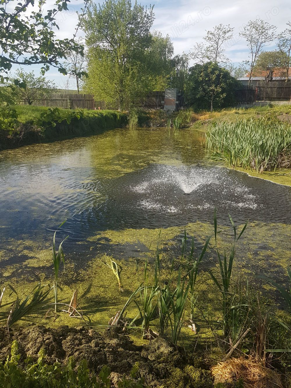 Casa cu iaz jud Teleorman