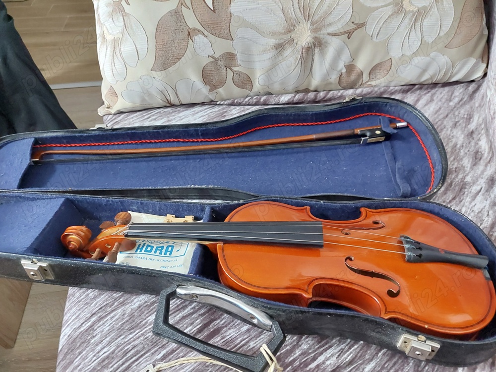 Vioara copil de Reghin