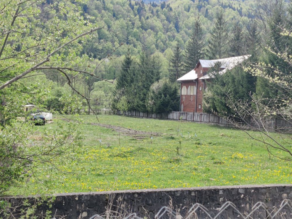 Vânzare teren LEPSA jud Vrancea