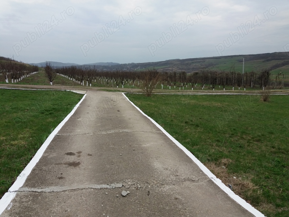 teren snagov strada crizantemelor 1200 metri 