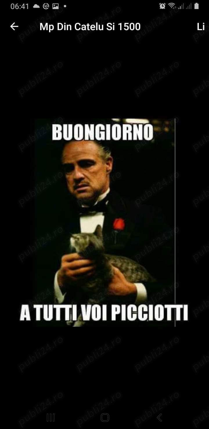 Angajam secretara Angajam secretara