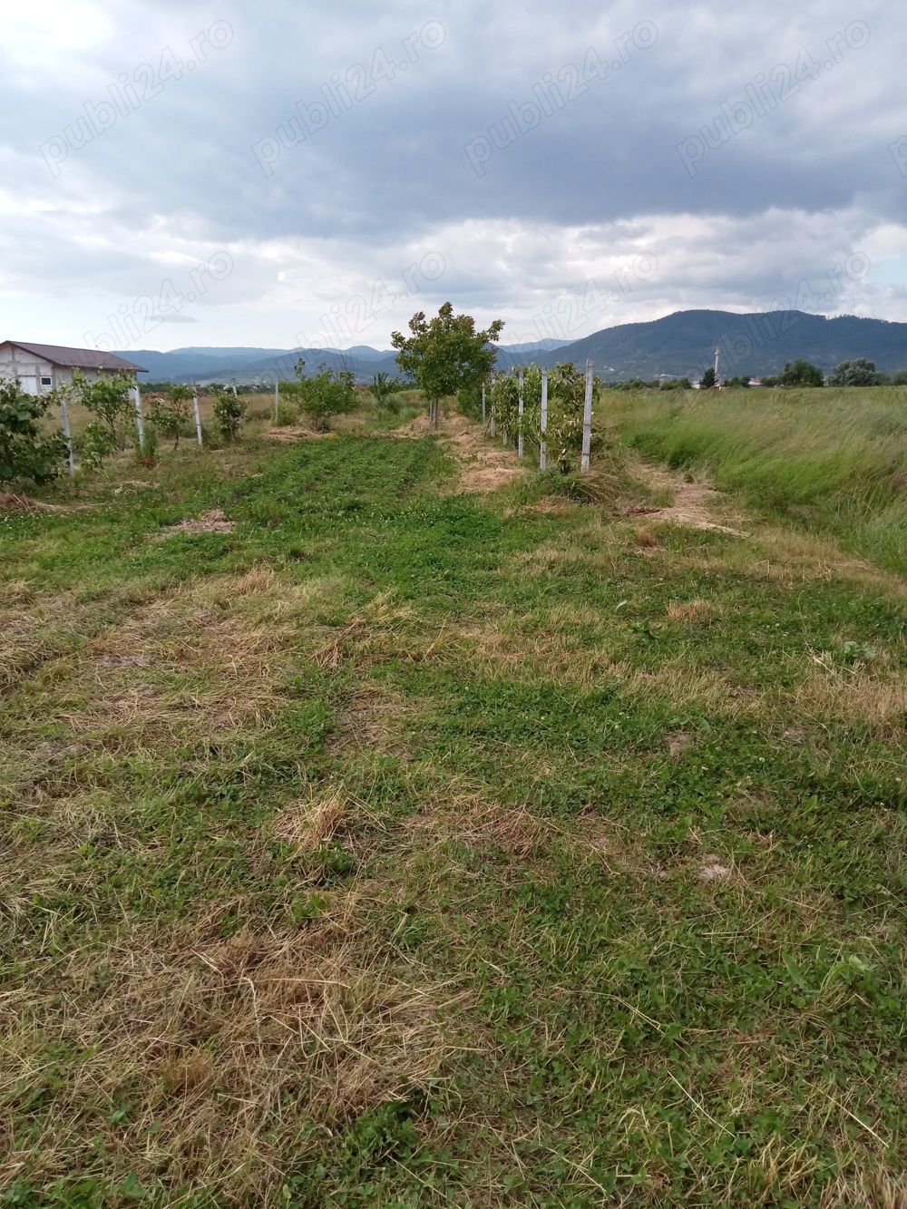 Mocira, vand teren 9 sau 18 ari, zona de case noi,strada Crinilor.