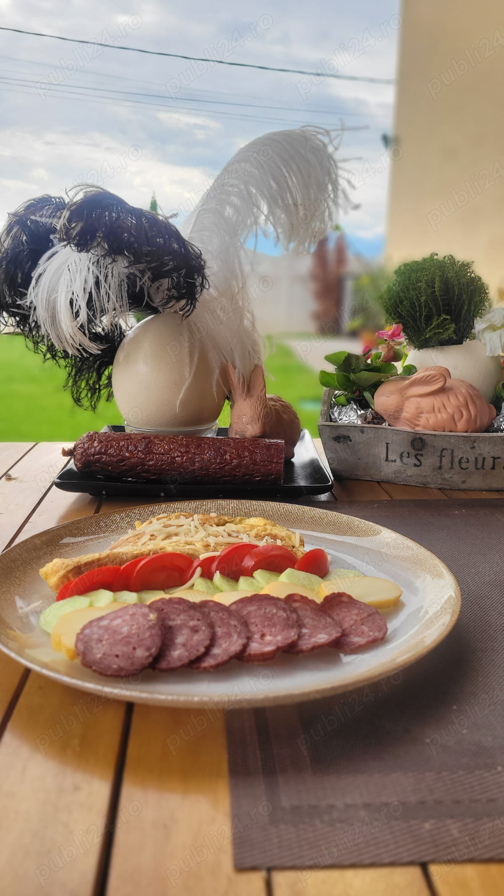 Vand oua de strut  salam de strut 