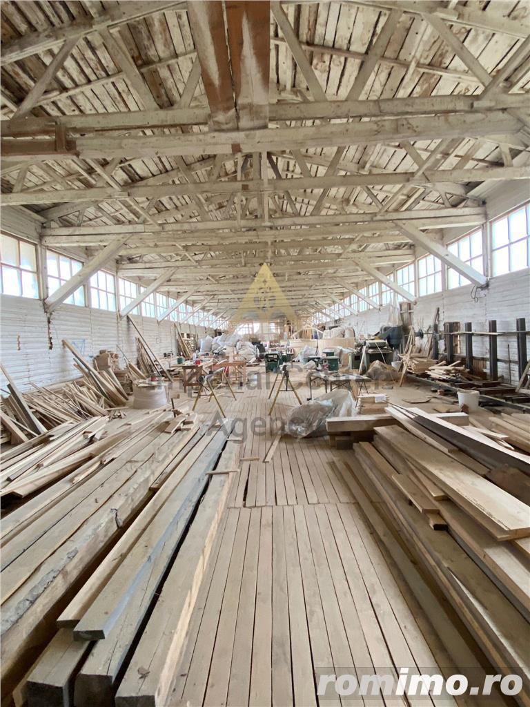 TEREN CU HALE DE PRODUCTIE   DE VANZARE - AGAS