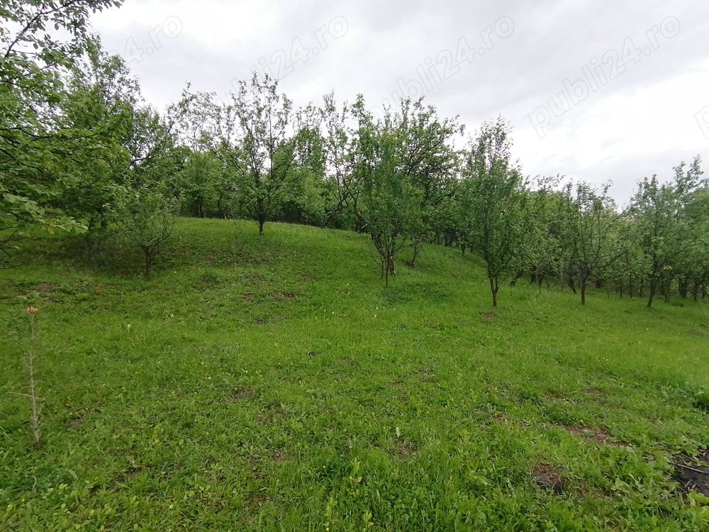 OPORTUNITATE ACHIZITIE TEREN CU ACCES DIRECT DIN DRUMUL EXPRES BUCURESTI-BRASOV LA CARE SE LUCREAZA